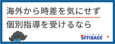 海外から時差を気にせず個別指導を受けるならeFFISAGE