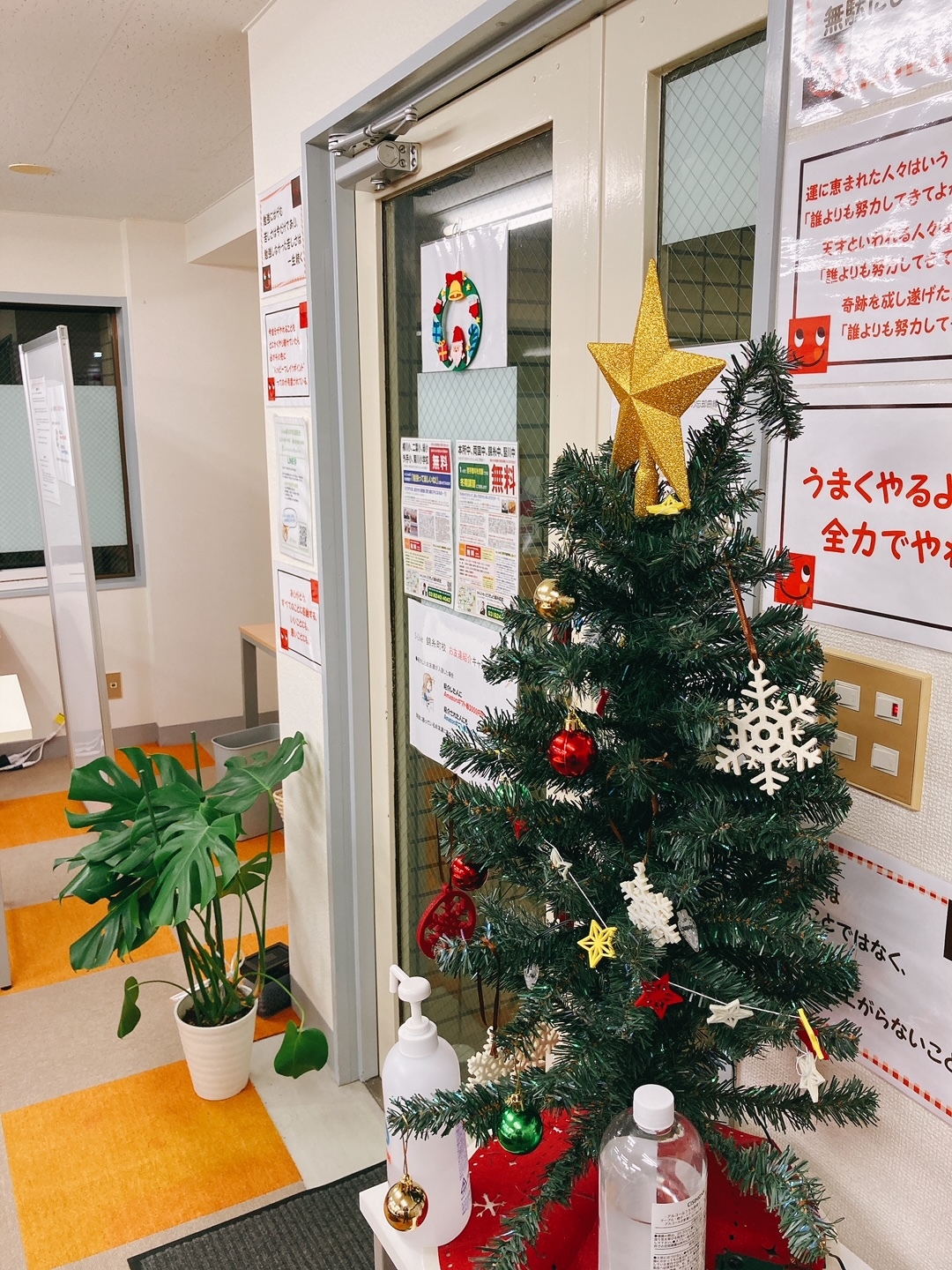 クリスマスツリー エスライブ